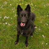 Foto van Angelique; Bruno, Charlie & Fenna