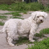 Kleine Sally werd jaren geleden achter gelaten in een bos als…