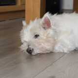 Foto van rianne