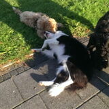 Foto van Suzanne & Senna