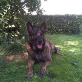 Zora wordt 8 jaar 19/08/2014 c