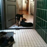 Foto van Eline, Gruul en Thalia