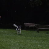 Foto van Angelique; Bruno, Charlie & Fenna