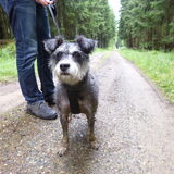 Foto van jenj
