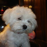 hoe schattig
