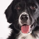 Foto van Michelle & Bentley
