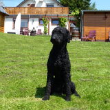 Foto van Mirjam en Curly Koda