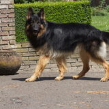 Foto van stephanie