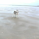 Foto van Vicky