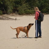 snoepje halen