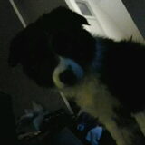 Foto van Angelique, Kleine Maybe en Tess <3