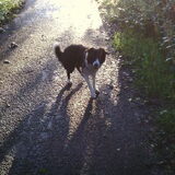 Foto van Angelique, Kleine Maybe en Tess <3