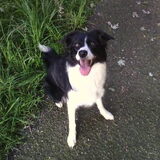 Foto van Angelique, Kleine Maybe en Tess <3