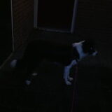 Foto van Angelique, Kleine Maybe en Tess <3
