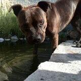 Foto van Elly
