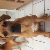 Foto van theo