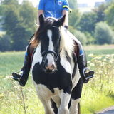 Foto van Tamara,Kallista & Marcel, Hercule †, Yordi †