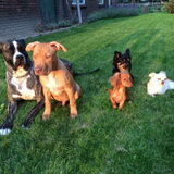 Foto van Dreamteam