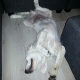 in de Relax stand :)