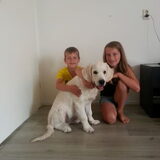 Onze 3 schatjes :)