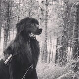 Foto van Anouk & Balou<3