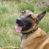 Foto van Amy