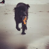 Foto van Anouk & Balou<3
