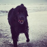 Foto van Anouk & Balou<3