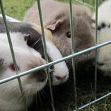 Foto van Valérie, Milo en Noa