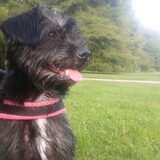 Foto van Ciska en Spanjaardje Moh (Bambi r.i.p.)