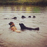 Foto van Anouk & Balou<3