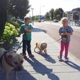 Foto van Frank