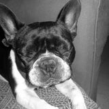 romy