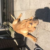 Foto van theo