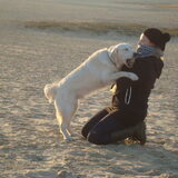 Offff toch niet