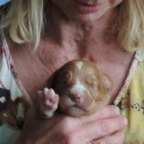 Foto van Luan en Lenne