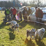 Ook de honden hebben veel pret zo te zien.