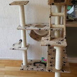 Foto van Hannah + Ginny & Winter