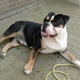 Foto van RomyTeddie