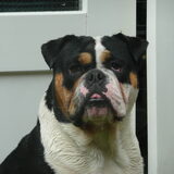Foto van RomyTeddie