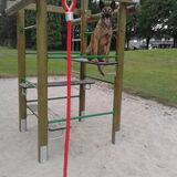 Foto van Dutchshepherdteam
