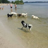 Foto van Michelle & Bentley
