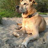 Foto van Samira