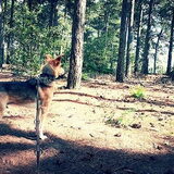 wandeling