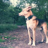 wandeling