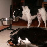 Bruno & Toos samen dineren ;P ~ 13-09-2014