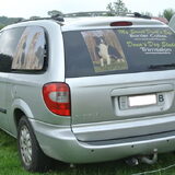 Belgian Border Collie Club show 14-09-14