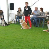 Belgian Border Collie Club show 14-09-14