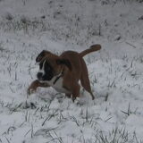 Chaos heeft vandaag, 17 dec 09, kennis gemaakt met sneeuw. Als een…