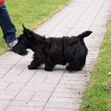 Aan het spelen met de bal...